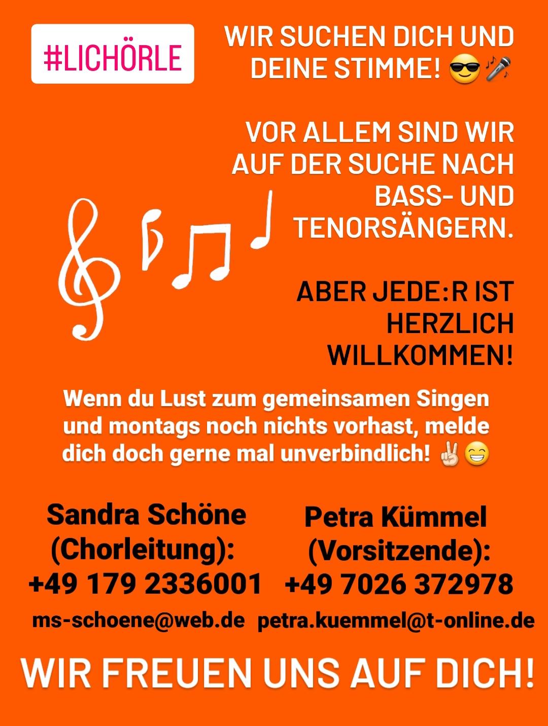 SängerInnesuche